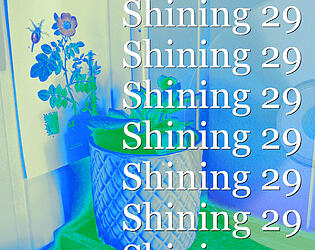 Shining 29